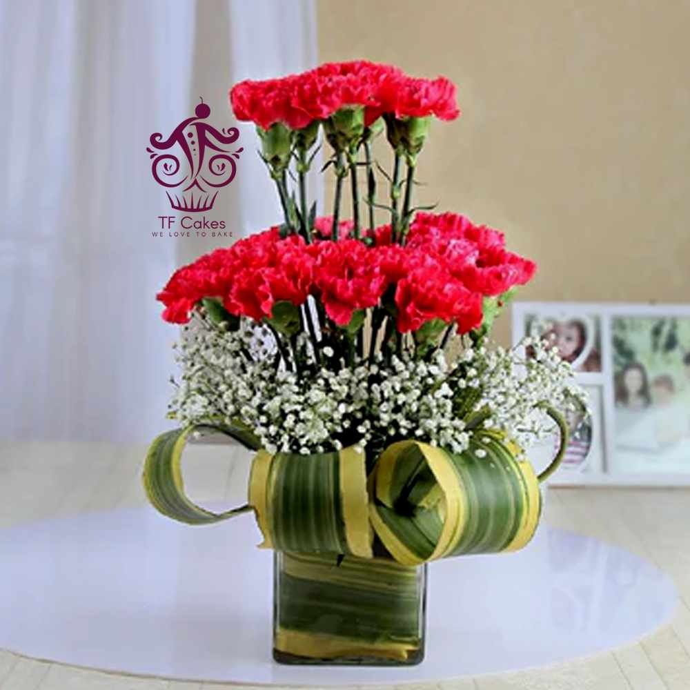 Vivid Red Carnations Flower