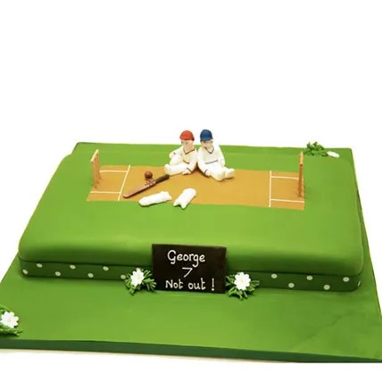 Theme cricket cake