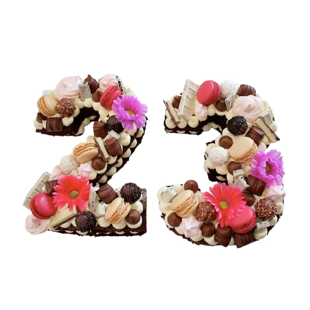 Number 23 Cake