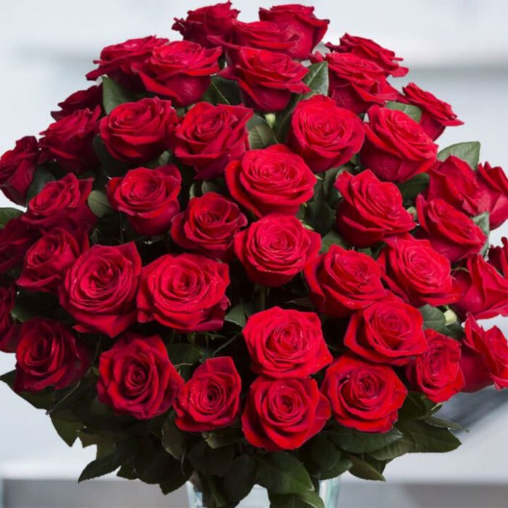 50 Red Roses Set