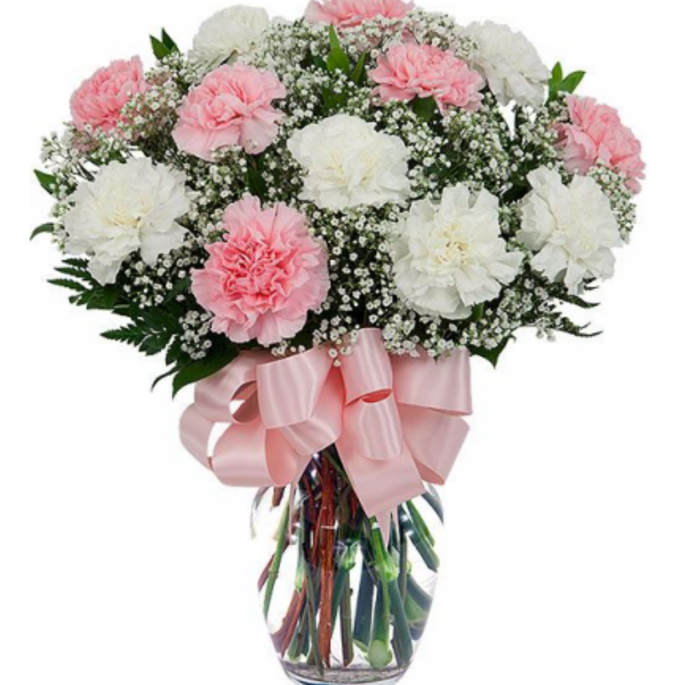 Pink and white carnations vase