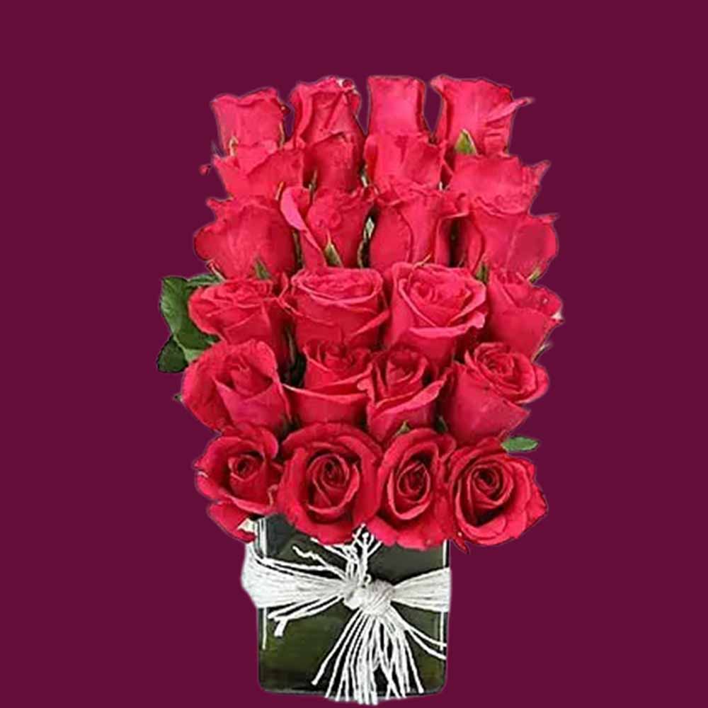 Red Roses and vase