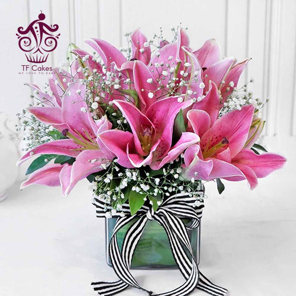 5 Pink Asiatic Lily
