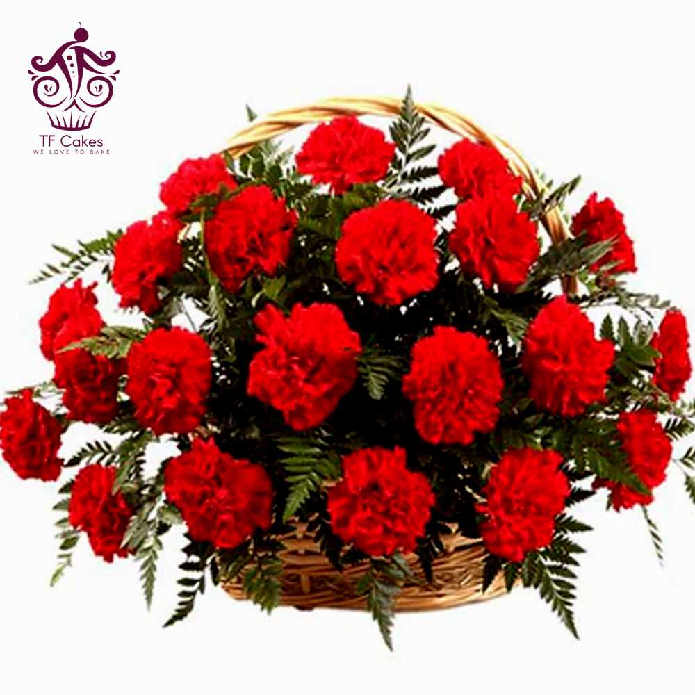 Red Carnations Arranged