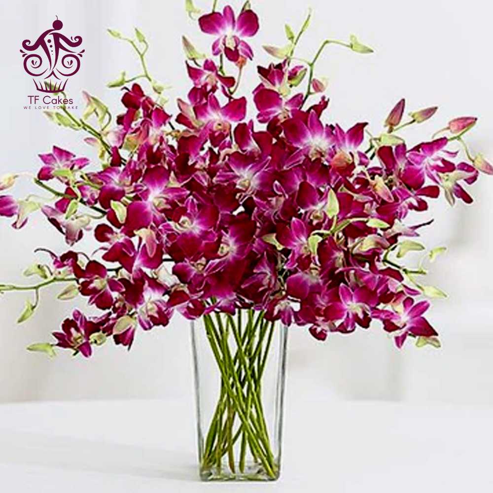 orchids in vase