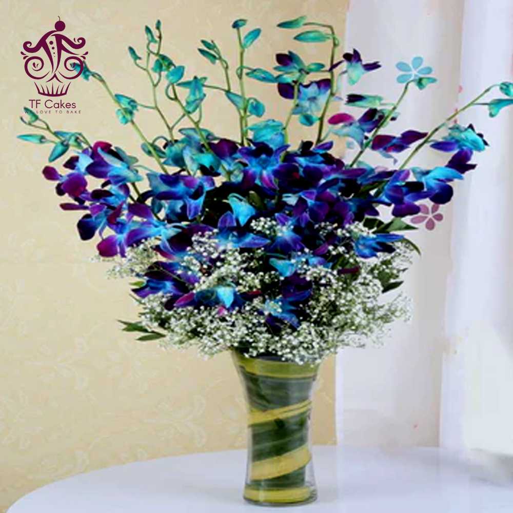 Captivating blue orchids